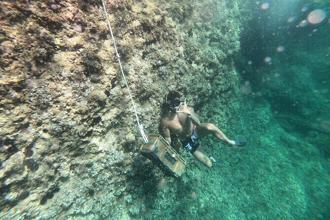 Mallorca: Kayaking, Sea Cave, Cliff Jumping & Snorkel Tour - Fun-Bus pickup near Alcúdia: how you start fast