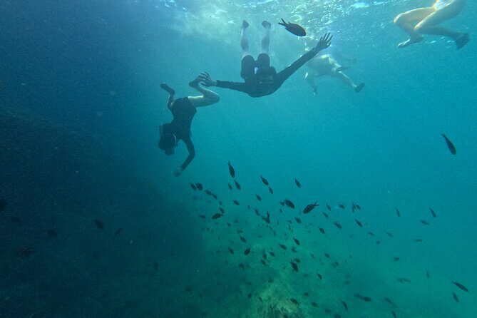 Mallorca: Kayaking, Sea Cave, Cliff Jumping & Snorkel Tour - Cliff jumping (optional): the adrenaline stop with safety control