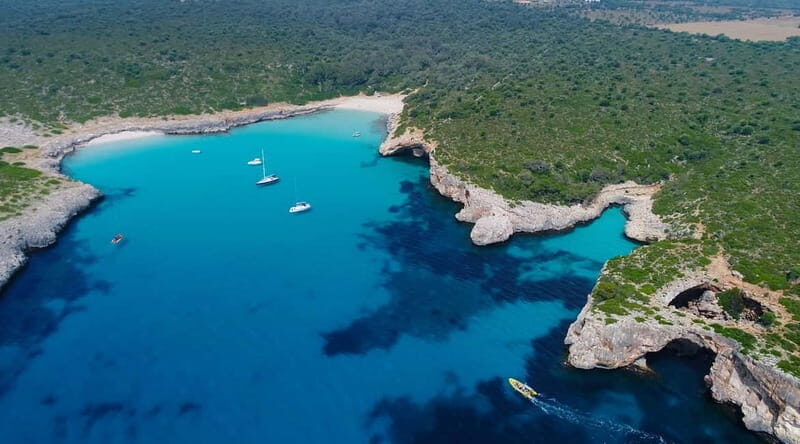 Mallorca: Natural Park Boat Tour with Snorkeling - Key things you’ll notice on this Mallorca snorkeling boat tour