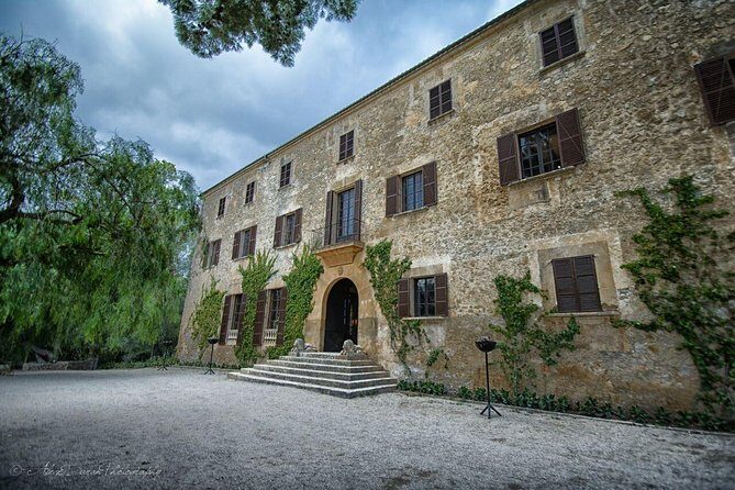 Mallorca Off the Beaten Track - Arta Market: Color, Shopping Energy, and Aloe Vera Knowledge