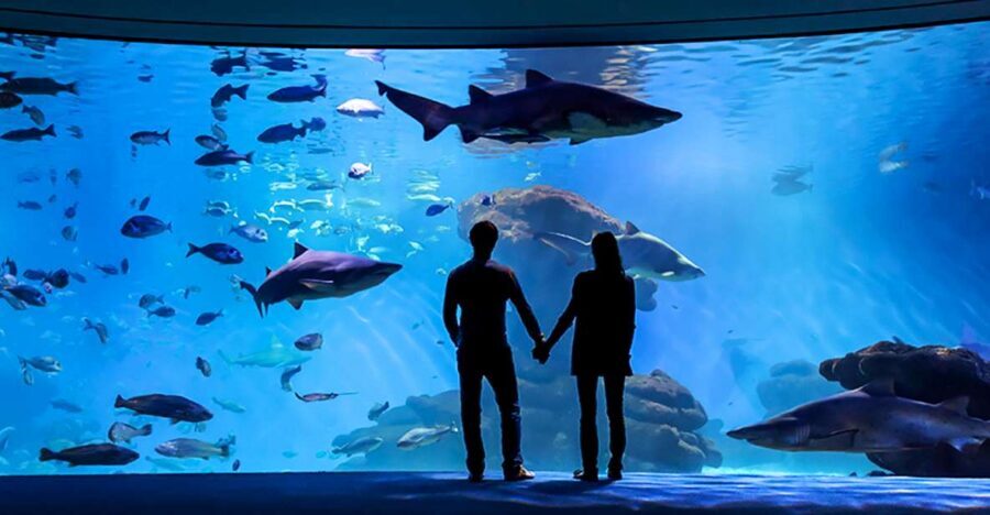 Mallorca: Palma Aquarium Entry Ticket w/ Optional 3D Cinema - Key things that make Palma Aquarium worth your time