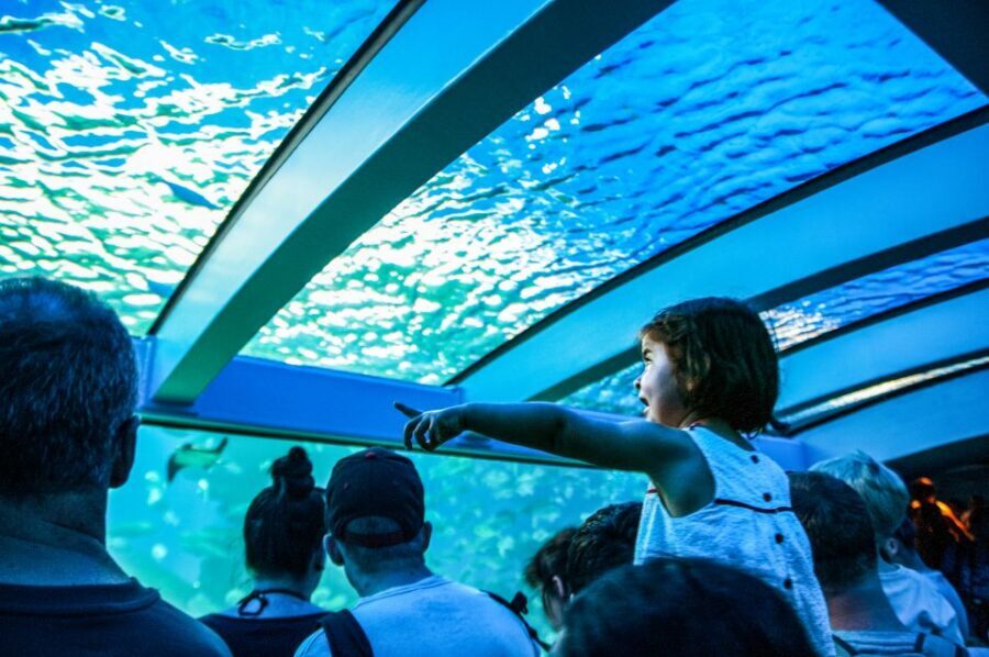 Mallorca: Palma Aquarium Entry Ticket w/ Optional 3D Cinema - Family-Friendly Design: Play Areas Plus a Route That Moves
