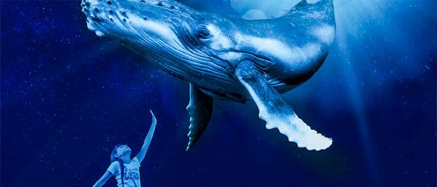 Mallorca: Palma Aquarium Entry Ticket w/ Optional 3D Cinema - Fast Access Reality: What Faster Entry Actually Helps With