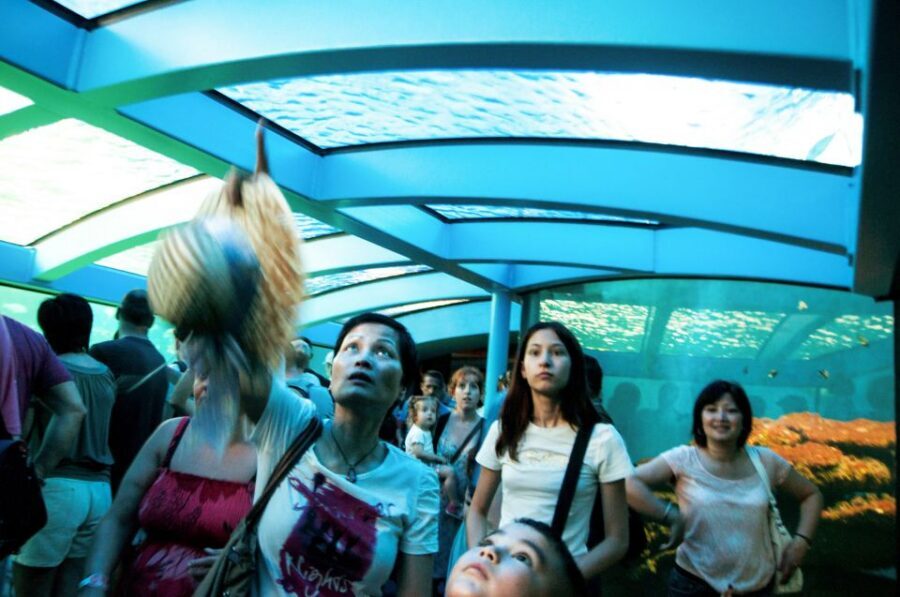 Mallorca: Palma Aquarium Entry Ticket w/ Optional 3D Cinema - The Habitat Walk: 8 Themed Zones and a Route You Can Actually Follow