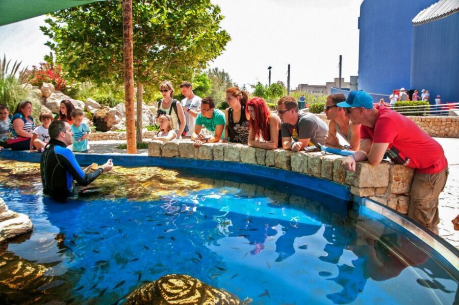Mallorca: Palma Aquarium Entry Ticket w/ Optional 3D Cinema - Big Blue: The Deep-Feel Shark Tank
