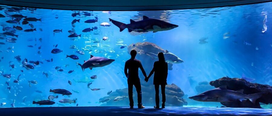 Mallorca: Palma Aquarium Entry Ticket w/ Optional 3D Cinema - Living Corals and the Reef-Style Exhibits