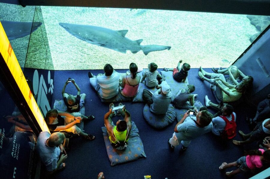 Mallorca: Palma Aquarium Entry Ticket w/ Optional 3D Cinema - The Aquadome 3D Cinema: Whale Time Without the Wait