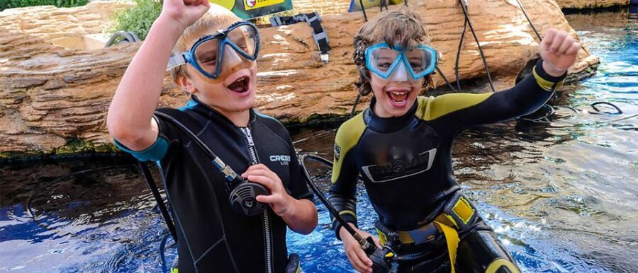 Mallorca: Palma Aquarium Entry Ticket w/ Optional 3D Cinema - Price and Value: Is $39 a Fair Deal?