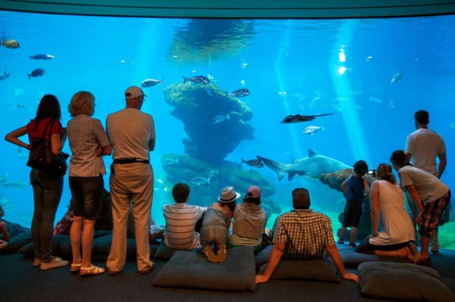 Mallorca: Palma Aquarium Tickets with Transfer - Quick hits before you go