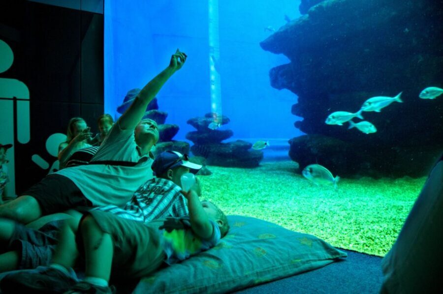 Mallorca: Palma Aquarium Tickets with Transfer - FAQ