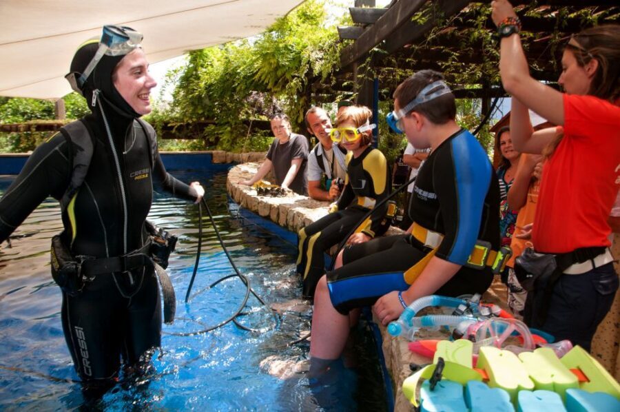 Mallorca: Palma Aquarium Tickets with Transfer - Big Blue at Palma Aquarium: what makes it worth your time