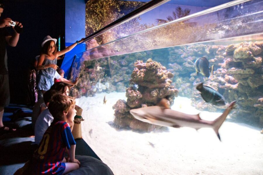 Mallorca: Palma Aquarium Tickets with Transfer - The 5-hour aquarium window: walk-in, walk-out freedom