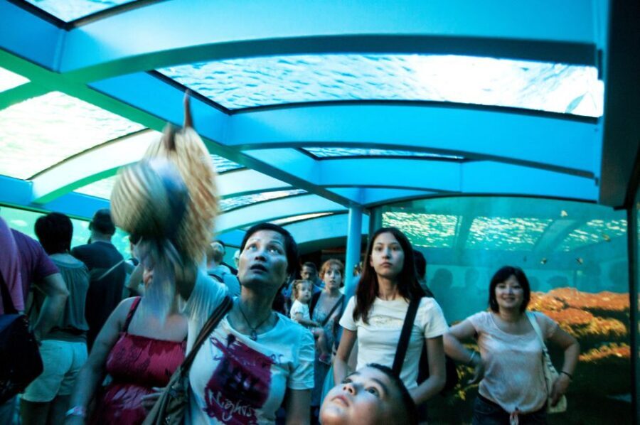 Mallorca: Palma Aquarium Tickets with Transfer - Mapping the themed zones: Old World to Big Blue