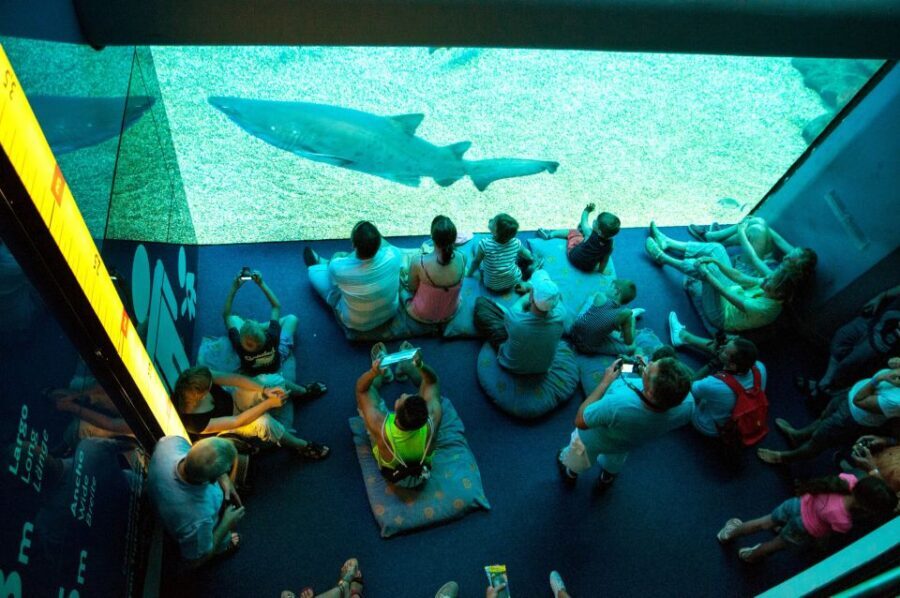 Mallorca: Palma Aquarium Tickets with Transfer - Family fun: Pirate Ship, water battle, and kid-energy control