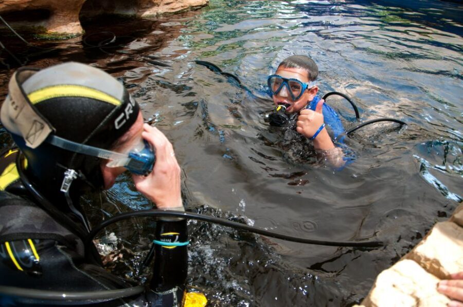 Mallorca: Palma Aquarium Tickets with Transfer - Value check: is $55 a good deal?