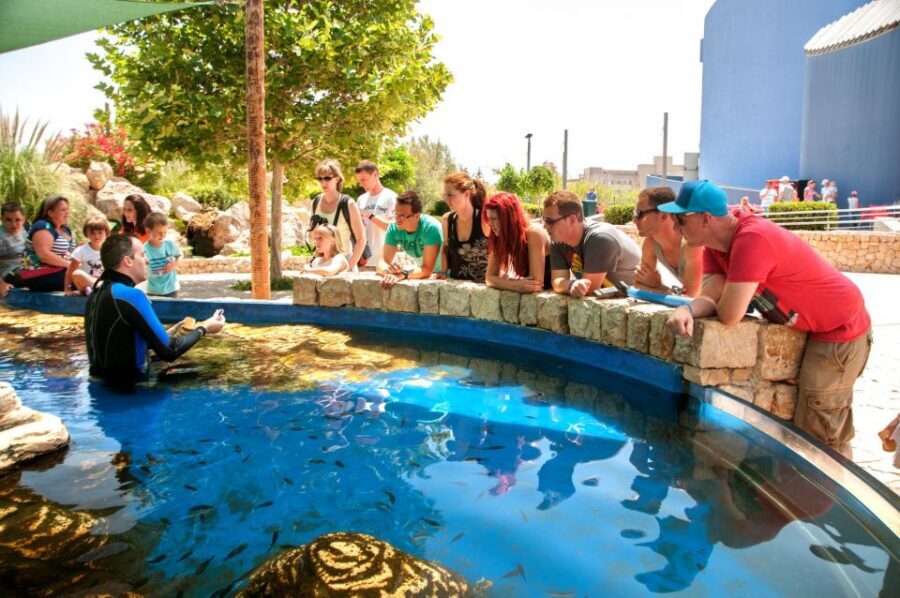 Mallorca: Palma Aquarium Tickets with Transfer - My take: should you book it?