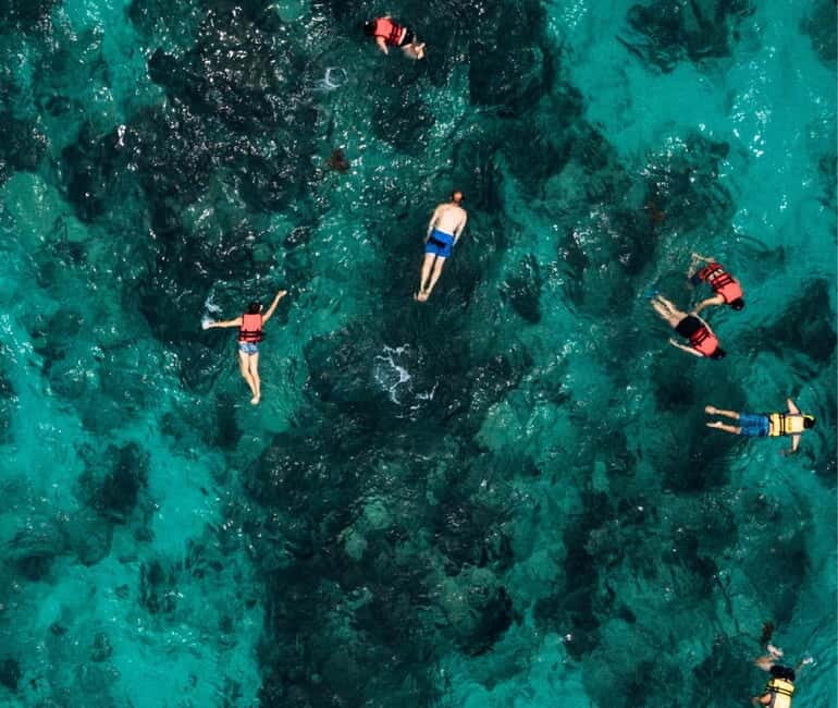 Mallorca: Palma Boat Tour & Snorkeling with Drink Included - Route options: Can Pastilla to the reserve vs Palma toward Palmanova
