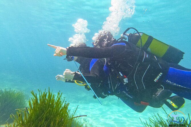 Mallorca PRIVATE Reservation<em>Scuba dive + photo/video – Quick hit checklist before you go’ /></p>
<ul>
<li><strong>Private 1-to-2 instruction</strong> in Palma (no mixed crowd in your group)</li>
<li><strong>Shore start and gradual comfort</strong> from about 1 meter before deeper water</li>
<li><strong>Instructor support that helps you float</strong> if you need it (equipment can inflate like a lifejacket)</li>
<li><strong>GoPro Hero 10 included</strong> for photos and video of your session</li>
<li><strong>45–50 minutes in the water</strong> (about 1 hour total time in-water)</li>
</ul>
<h2 id="palma-shore-to-sea-teaching-the-beginner-advantage">Palma shore-to-sea teaching: the beginner advantage</h2>
<p><img width="669" height="446" decoding="async" src=