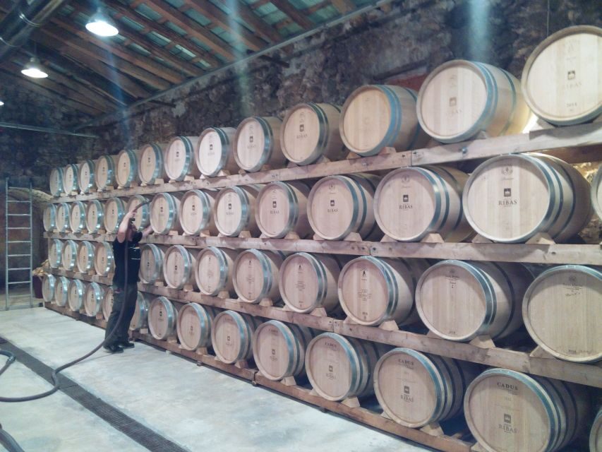 Mallorca: Private Wine Tour with Tasting and Picnic - The Most Praised Parts You Should Expect