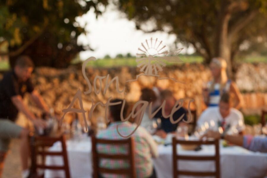 Mallorca: Private Wine Tour with Tasting and Picnic - Tapas and Tastings: The Part You’ll Remember in a Good Way