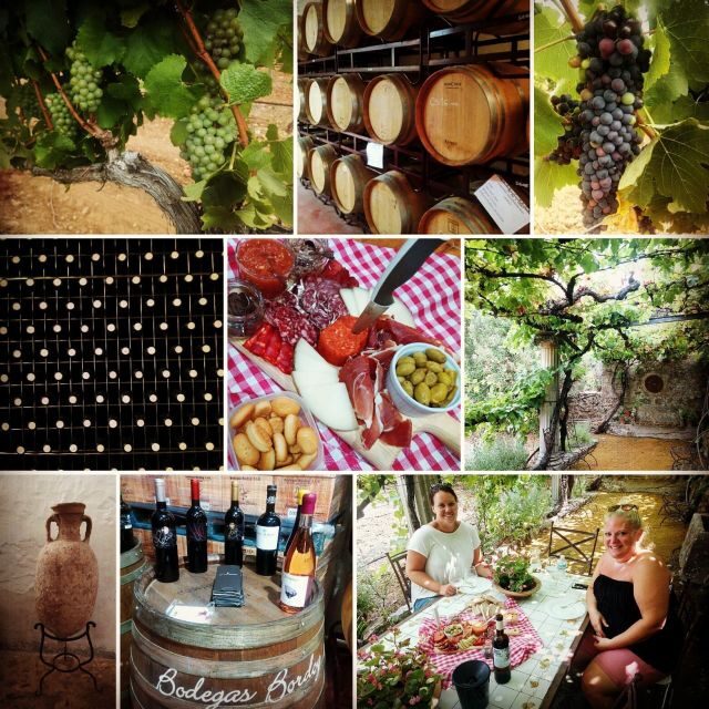 Mallorca: Private Wine Tour with Tasting and Picnic - How Long It Really Takes: 3 Hours on Paper, a Half-Day Feel in Practice