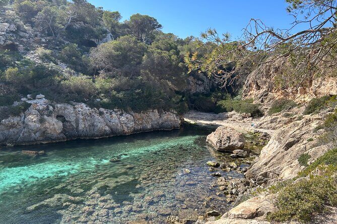 Mallorca Secret Coves Land Rover Private Tour - Drinks on the route: bottled water and soda whenever you want