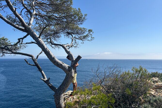 Mallorca Secret Coves Land Rover Private Tour - Where the tour starts in Palma (and how the day ends)