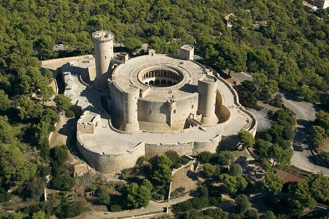 Mallorca Shore Excursion Bellver Castle and Cathedral Private Tour - Who should book this Mallorca shore excursion?
