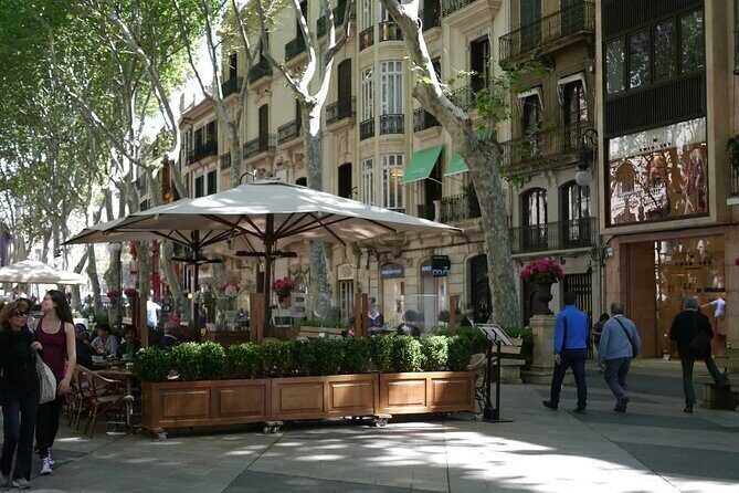 Mallorca Shore Excursion Highlights Private Tour including Valldemossa - Why the $603.29 price can make sense on a shore day
