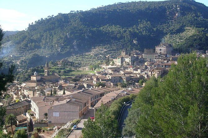 Mallorca Shore Excursion Highlights Private Tour including Valldemossa - Timing tips for a smooth 4-hour Mallorca day