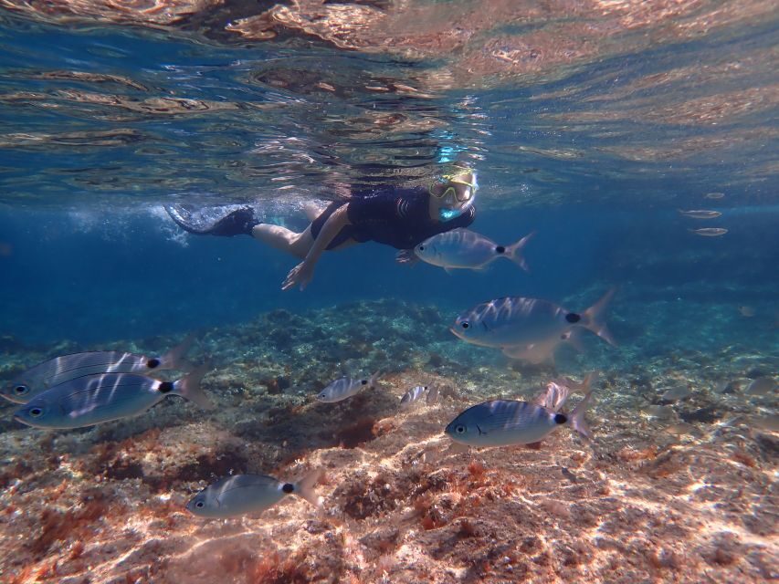 Mallorca: Snorkeling in a Beautiful Nature Reserve - Who should book this snorkeling tour, and who should reconsider?