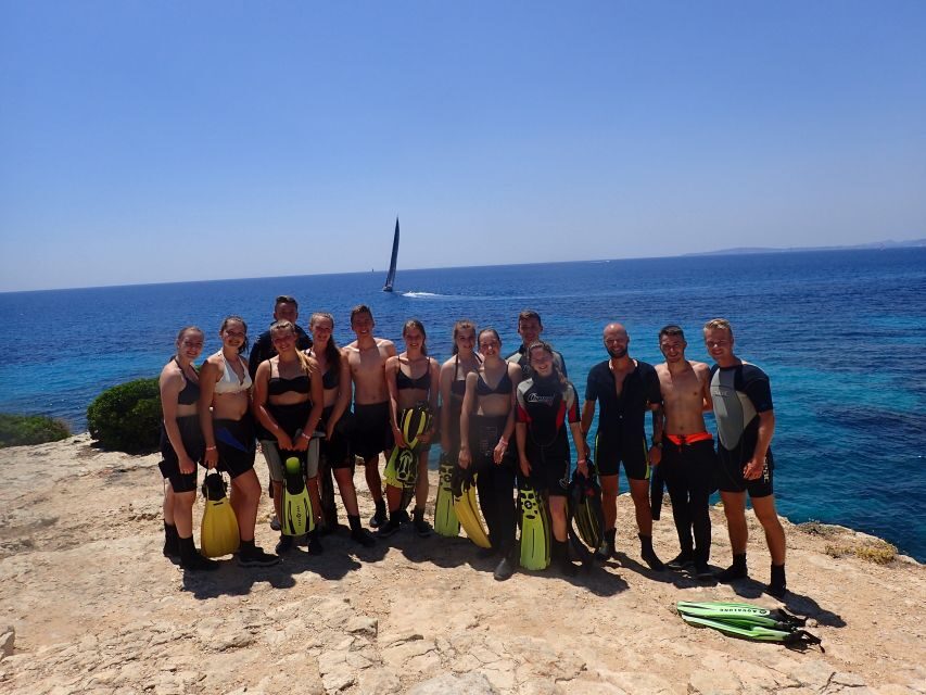 Mallorca: Snorkeling in a Beautiful Nature Reserve - Marine life you can look for: fish, rays, and Mediterranean variety