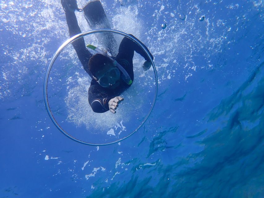 Mallorca: Snorkeling in a Beautiful Nature Reserve - The guides: what “small group” really changes