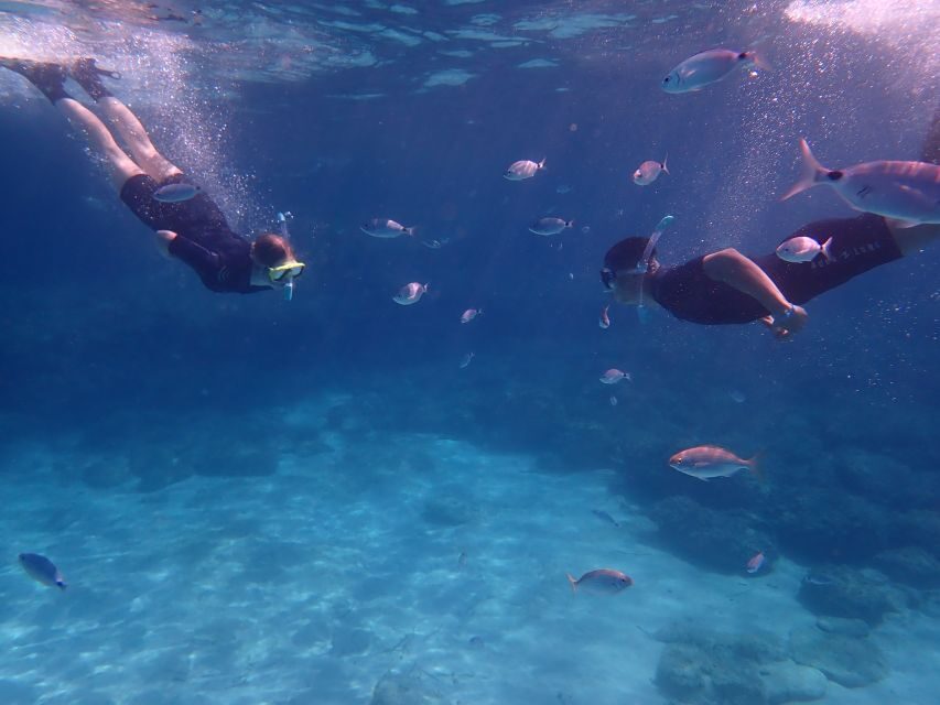 Mallorca: Snorkeling in a Beautiful Nature Reserve - What to pack (and what to remember in the moment)