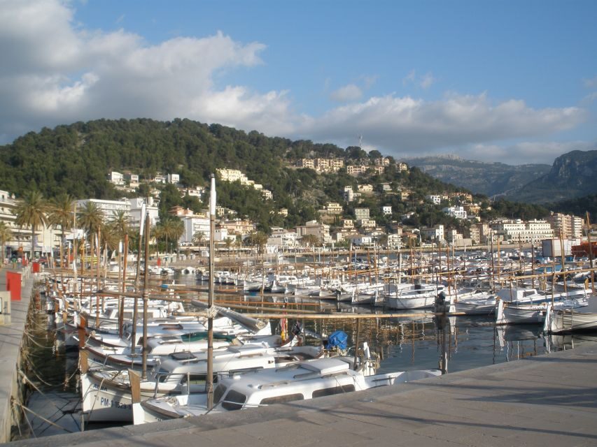 Mallorca: Soller Port and Valldemossa - Should You Book Mallorca: Soller Port and Valldemossa?