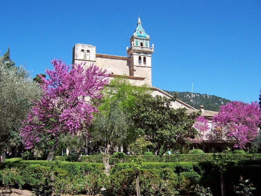 Mallorca: Soller Port and Valldemossa - Soller Port Free Time: Sea Air, Orange Blossom, and Harbor Views