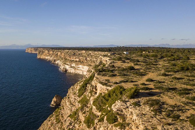 Mallorca Southern cliffs and the Salt Marshes guided Tour - Key points worth knowing