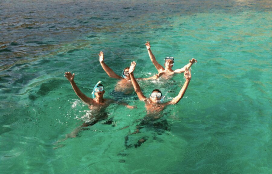 Mallorca : Speedboat, Snorkelling and Swimming Adventure - Key highlights you’ll care about