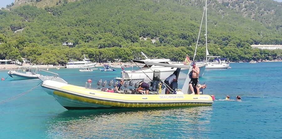 Mallorca : Speedboat, Snorkelling and Swimming Adventure - Should you book the Formentor speedboat, snorkeling, and cave adventure?