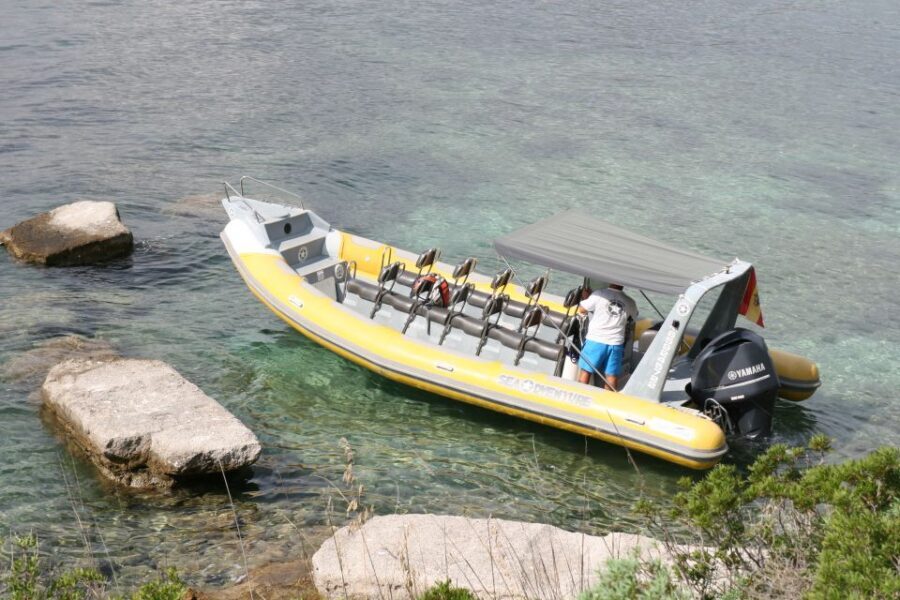 Mallorca : Speedboat, Snorkelling and Swimming Adventure - Snorkeling in clear coves: gear included, time built in