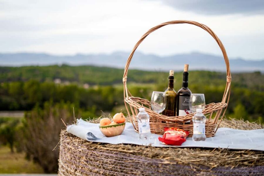 Mallorca: Sunset Horseback Ride with Drinks - Mallorca Sunset Horseback Ride: the Randa Valley difference