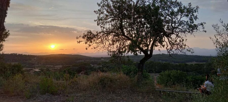 Mallorca: Sunset Horseback Ride with Drinks - Heading toward Puig de Randa: the ride out across the plain