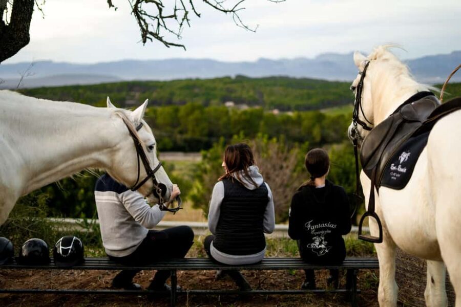 Mallorca: Sunset Horseback Ride with Drinks - Meeting the Mallorca Horses Center and getting set up right