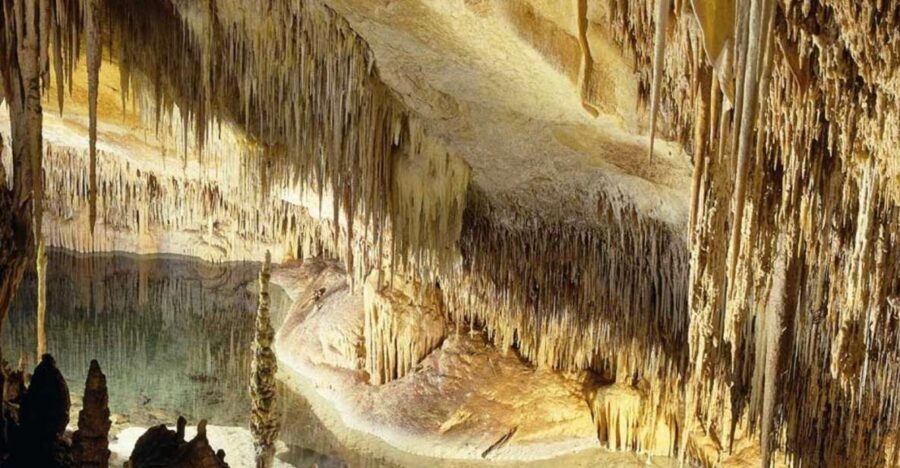 Mallorca: Ticket for Caves of Drach with Pickup Service - Why the Caves of Drach feel like a different world