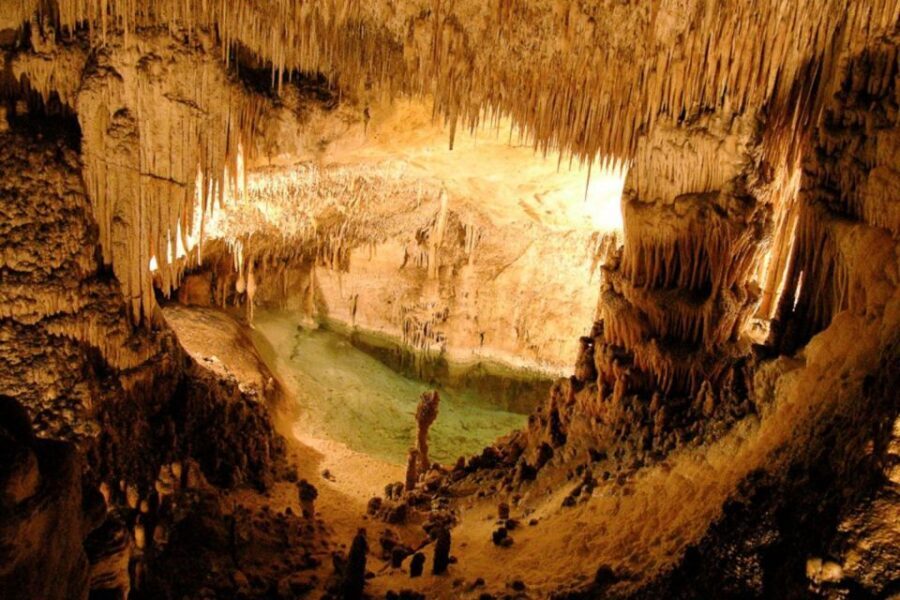 Mallorca: Ticket for Caves of Drach with Pickup Service - Price and value: when this feels like a bargain