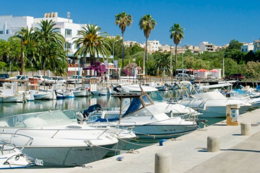 Mallorca: Ticket for Caves of Drach with Pickup Service - Who this tour suits best (and who may want a different plan)