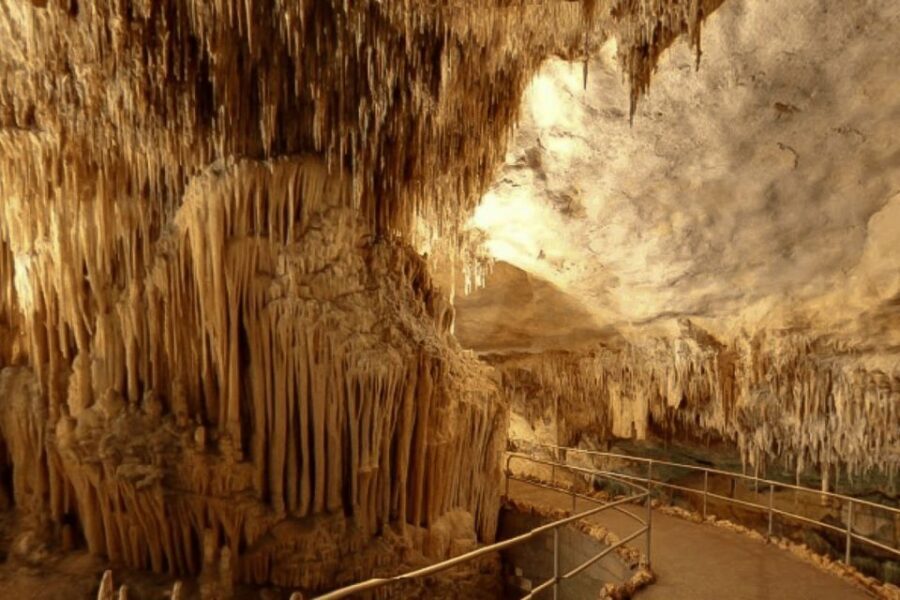 Mallorca: Ticket for Caves of Drach with Pickup Service - Mallorca pickup to Porto Cristo: the part that saves time