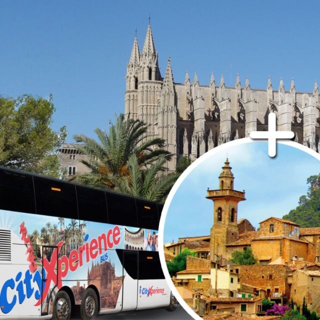 Mallorca: Transfer to Palma self-guided Tour - Who this Palma day fits best