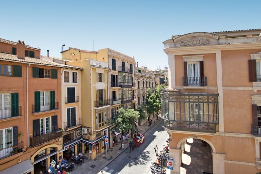Mallorca: Transfer to Palma self-guided Tour - The morning ride: pickup windows, host help, and language options