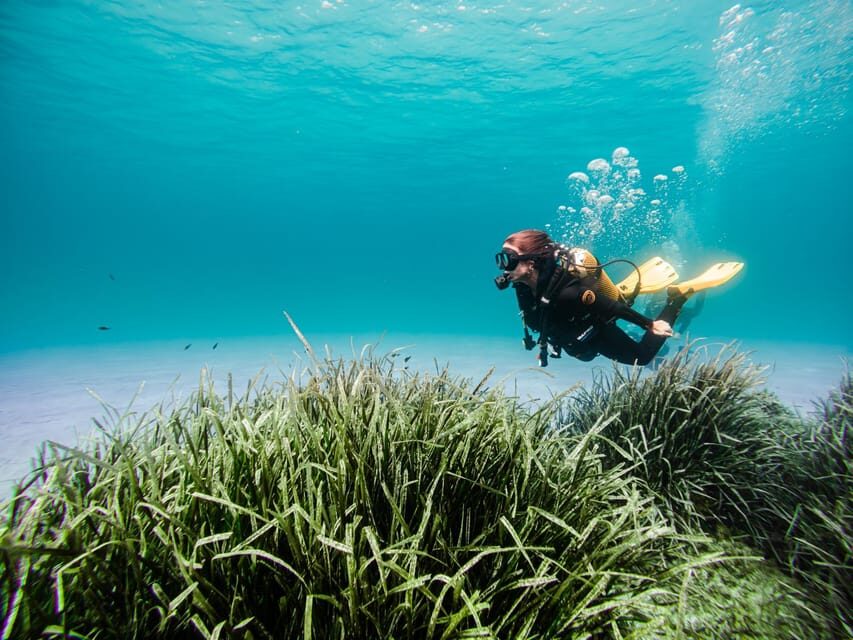 Mallorca: Try Scuba Diving by Boat - Quick hits before you go